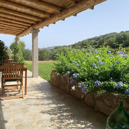 Macciuneddu Country Retreat Golfo Aranci Ngoại thất bức ảnh