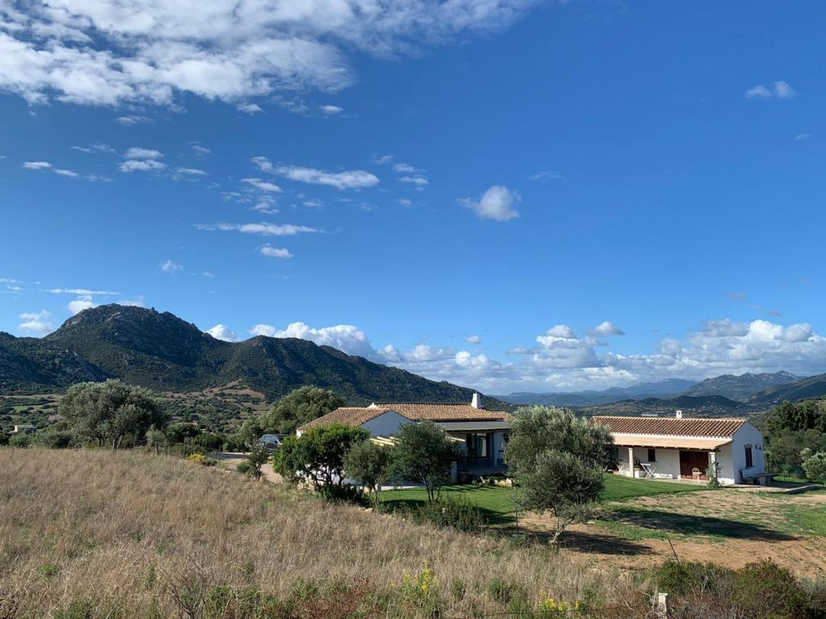 Macciuneddu Country Retreat Golfo Aranci Ngoại thất bức ảnh